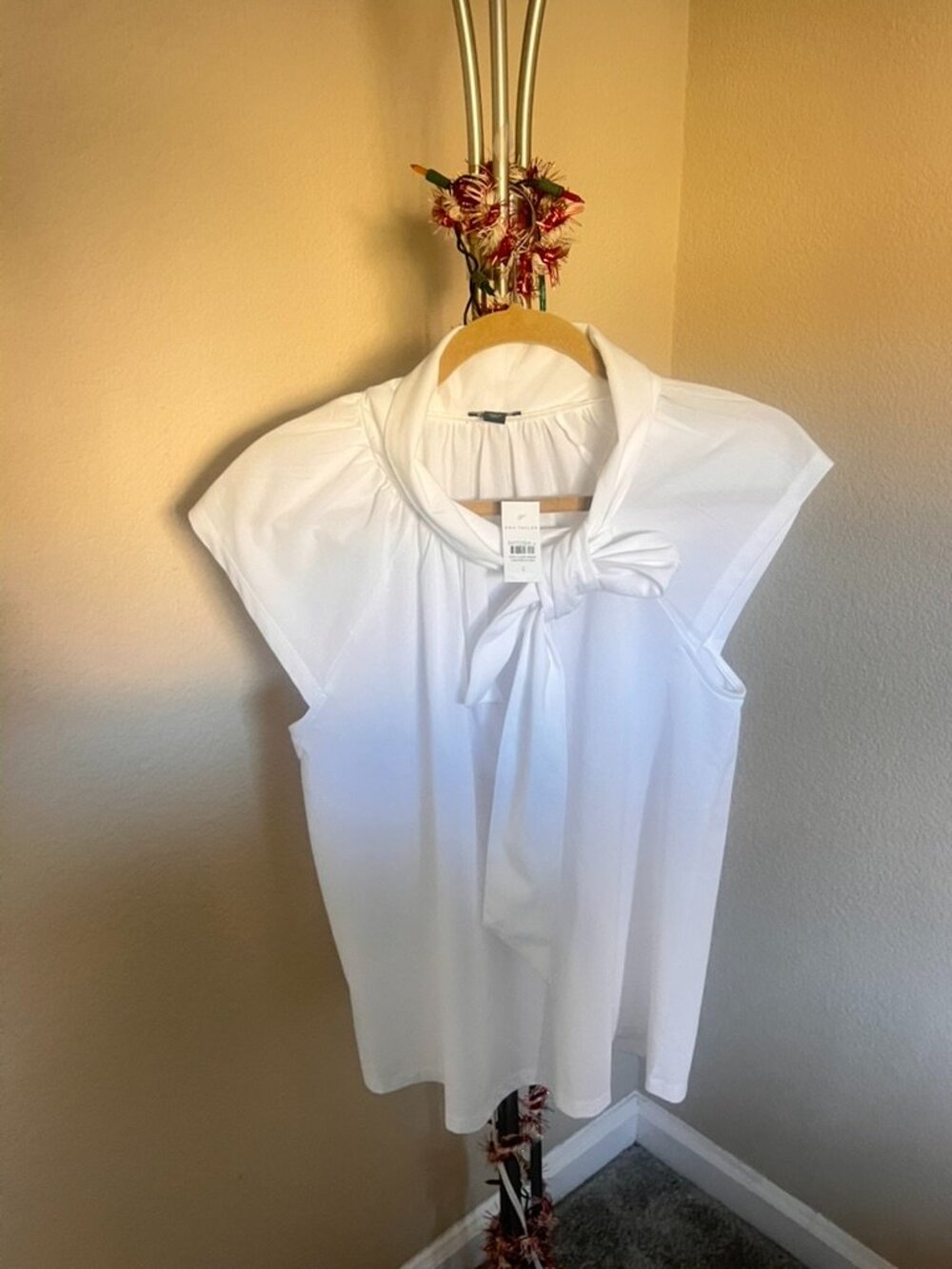 Ann Taylor Elegant Top